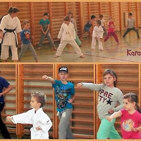 Karate v Vinici