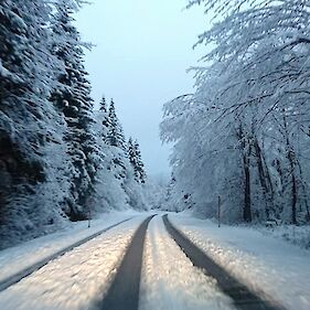 Tudi v Beli krajini sneg na cestišču