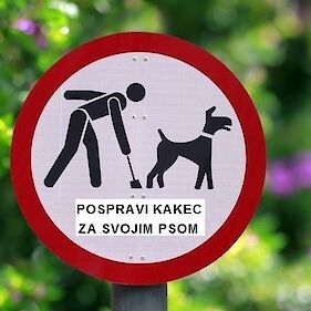 Nadzor nad sprehajalci psov