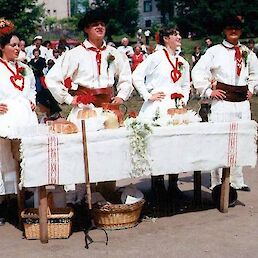 Folklorna skupina Semiška ohcet Semič okoli leta 1987 (Zasebni arhiv fotografij Albine Pašič, Semič).