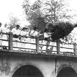 »Zelenega Jurija« so 17. junija 1989 vrgli z mostu v Dobličico (Arhiv fotografij Folklorne skupine Zeleni Jurij Črnomelj).