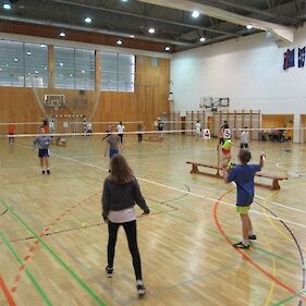 Ekipno področno tekmovanje v badmintonu 2020