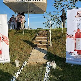 40 let prvega rosé vina v Sloveniji