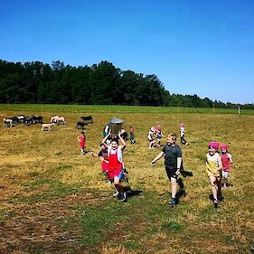 Pastirske igre – 2. razred