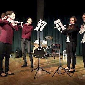 Koncert učencev Glasbene šole v Metliki