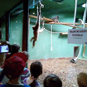 Naravoslovni dan v živalskem vrtu