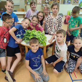 Prvošolci smo vzgojili solato in redkvice