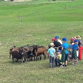 Pastirski dan na ekološki kmetiji Totter v Gribljah