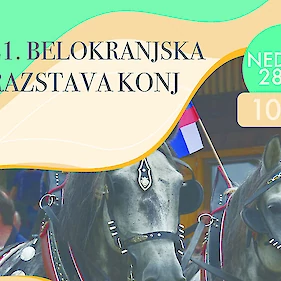 21. Belokranjska razstava konj