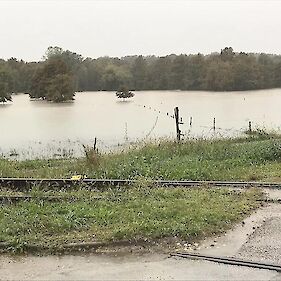 Poziv za prijavo škode zaradi poplav v občinah Metlika in Črnomelj