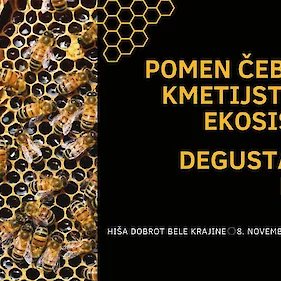 Predavanje »Pomen čebel za kmetijstvo in ekosistem«
