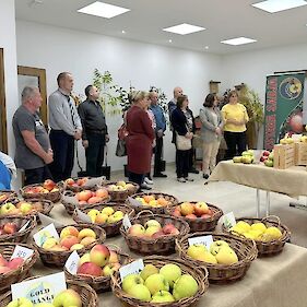 Letošnja razstava sadja v Metliki je odprta