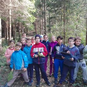 Naravoslovni dan v gozdu – 3. razred