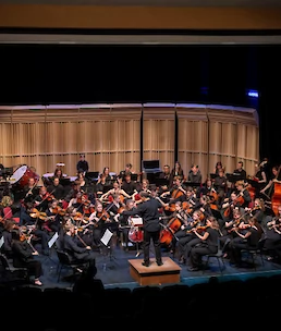 Mladinski simfonični orkester iz Bremna navdušil v Semiču
